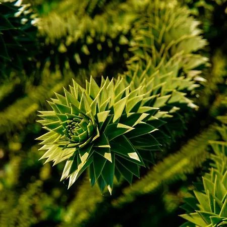 Villa Brattholmen Apartamento