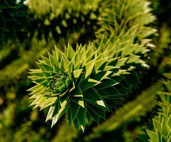 Villa Brattholmen Apartman